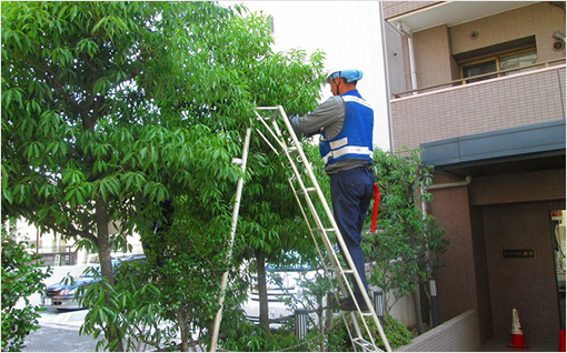 植栽管理業務