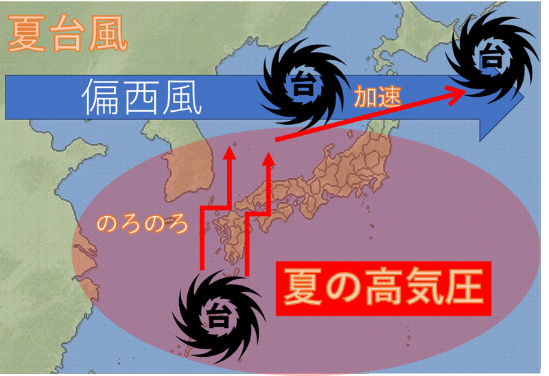 【図作成：田頭孝志】