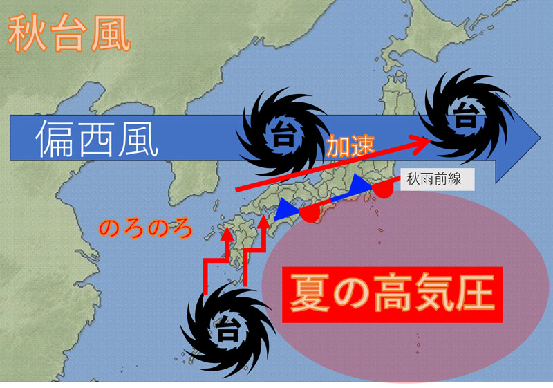 【図作成：田頭孝志】